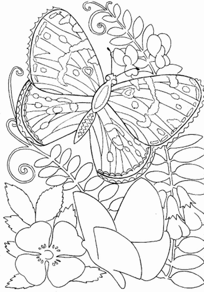 Coloring Books for Seniors Inspirational 38 Adult Coloring Free Pages ...