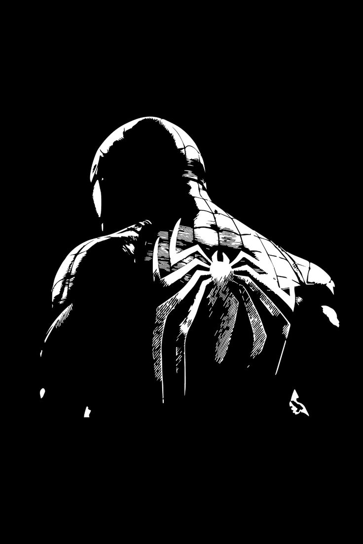 a black and white photo of a spider man