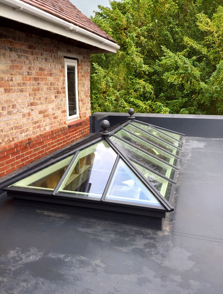 a flat roof with a glass skylight on the top and trees in the background