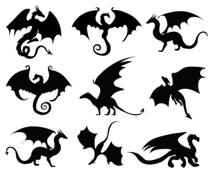 black and white silhouettes of different types of dragon wings on a white background illustration