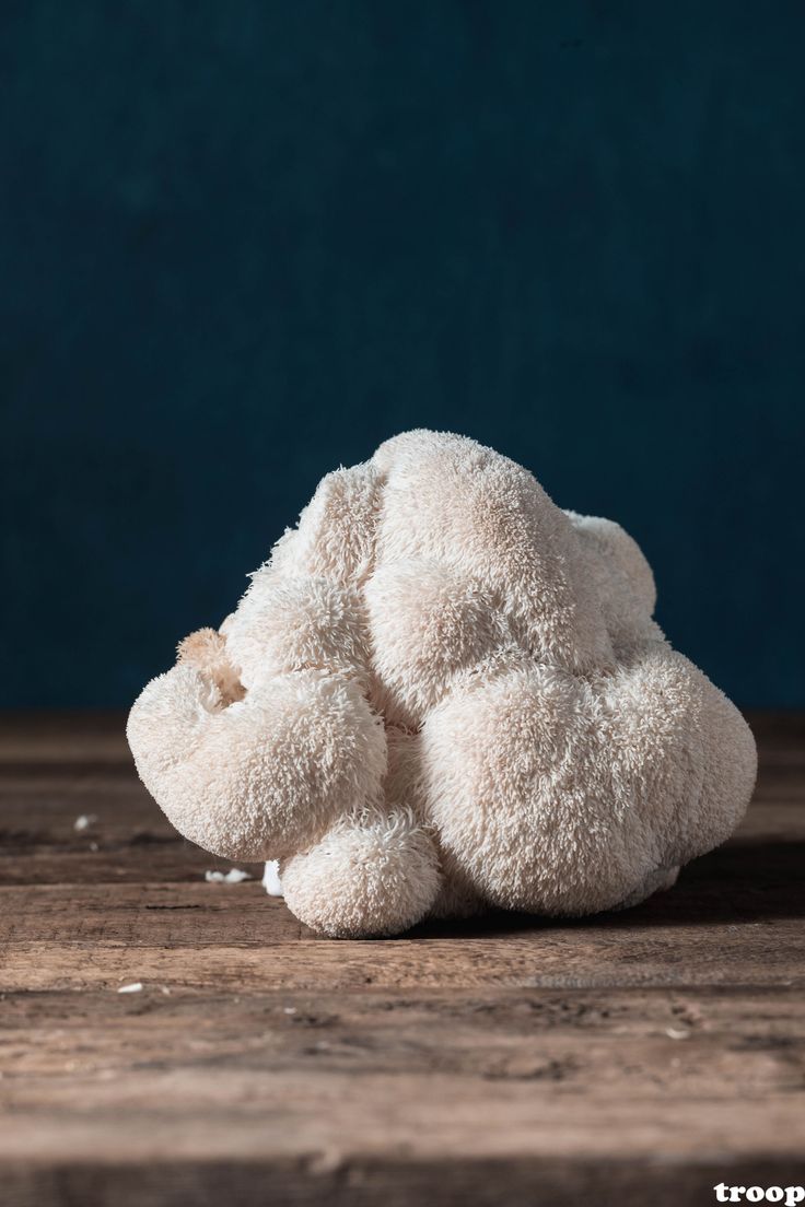 Lion's mane mushroom Mushroom Product Photography, Lion's Mane Mushrooms, Lion’s Mane, Lion Mane Mushroom, Mushroom Facts, Lions Mane Benefits, Pretty Mushrooms, Functional Mushrooms, Fungi Illustration