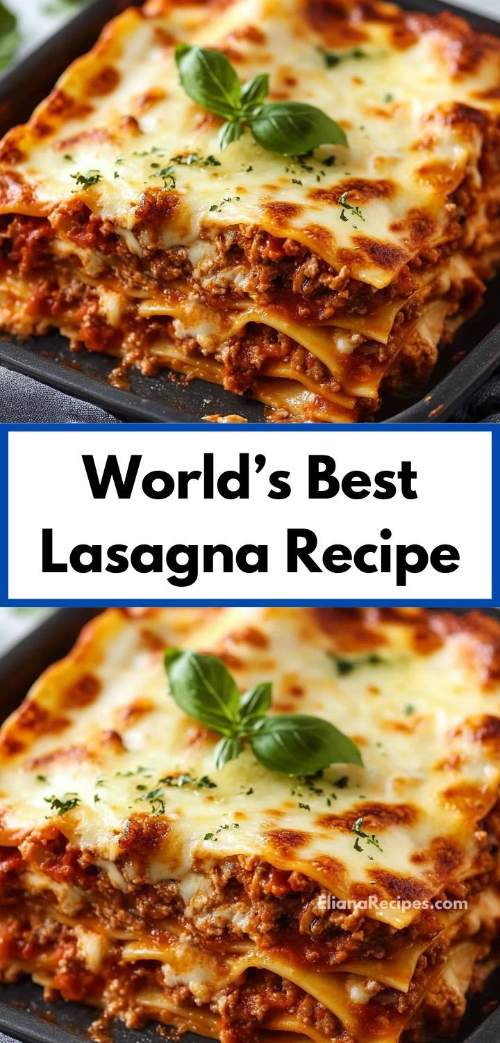 the world's best lasagna recipe is made with cheese, meat and spinach