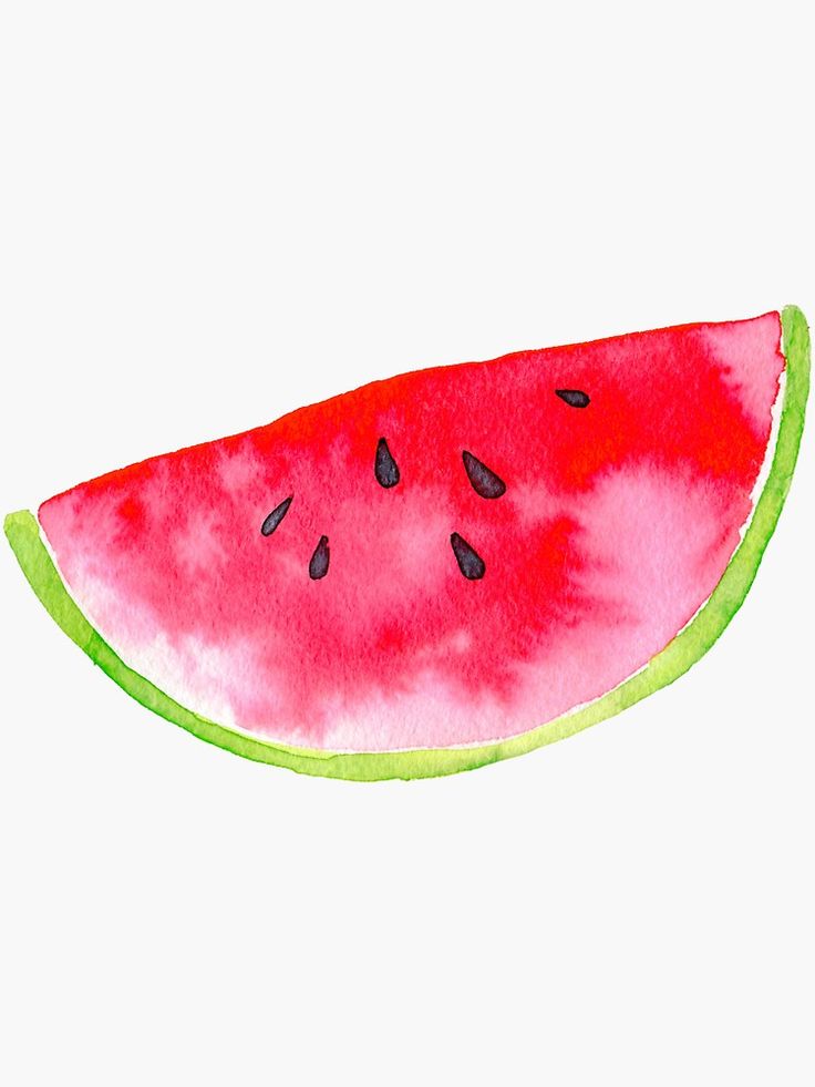 a slice of watermelon on a white background