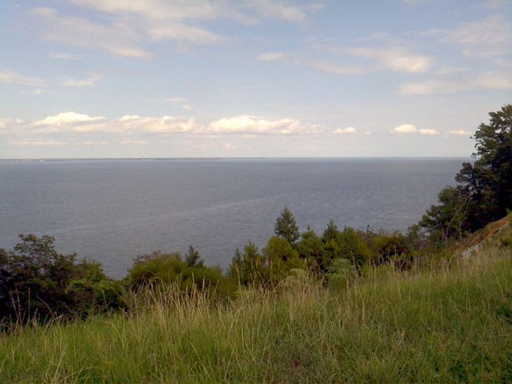 a view of the ocean from a hill with grass and trees in front of it