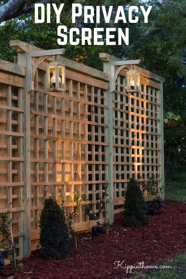 a wooden trellis sitting next to a lush green forest