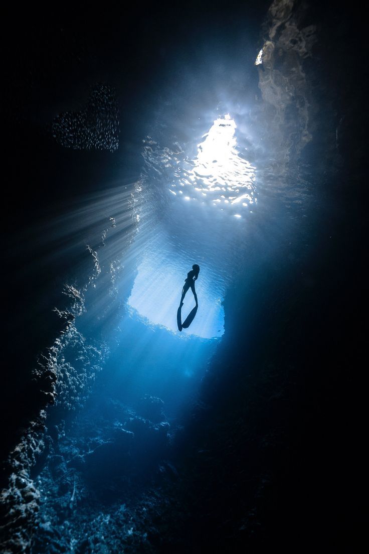 a person is swimming in the dark water