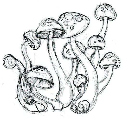 an ink drawing of some mushrooms growing out of the ground