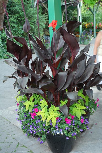 a planter filled with lots of purple and green plants