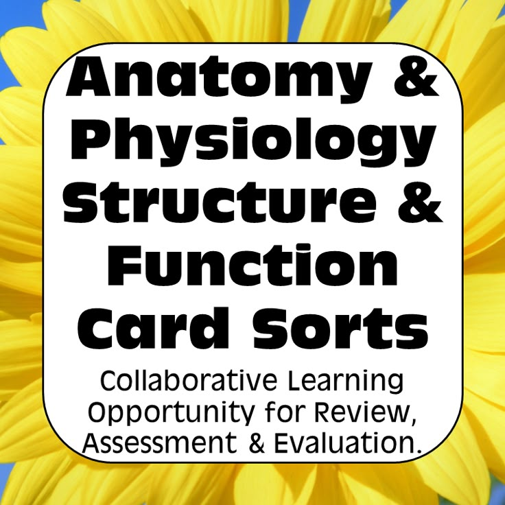 a yellow flower with the words anatomy and physiolgy structure and function card sorts