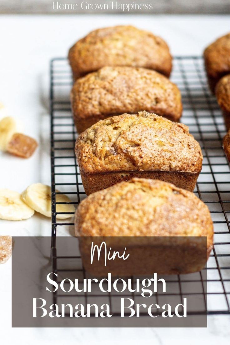 mini sourdough banana bread on a cooling rack with the words, mini sourdough banana bread