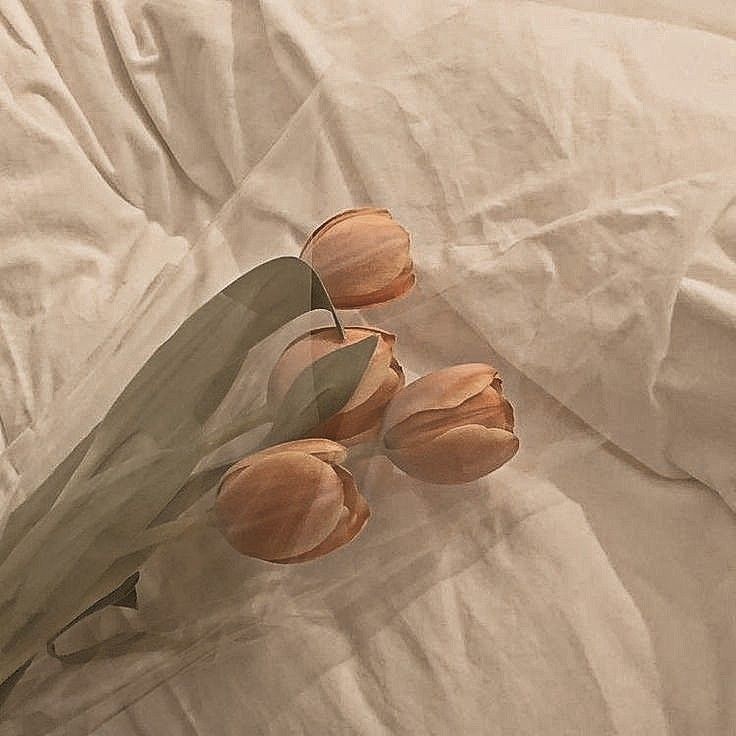 three tulips are sitting on a white sheet