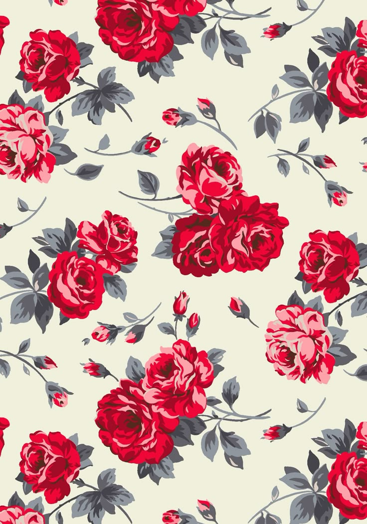 red roses on white background with grey leaves