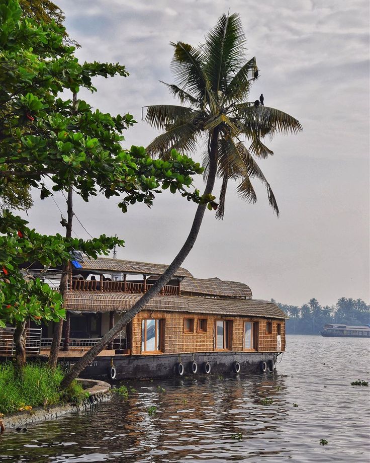 a houseboat is floating on the water with a palm tree