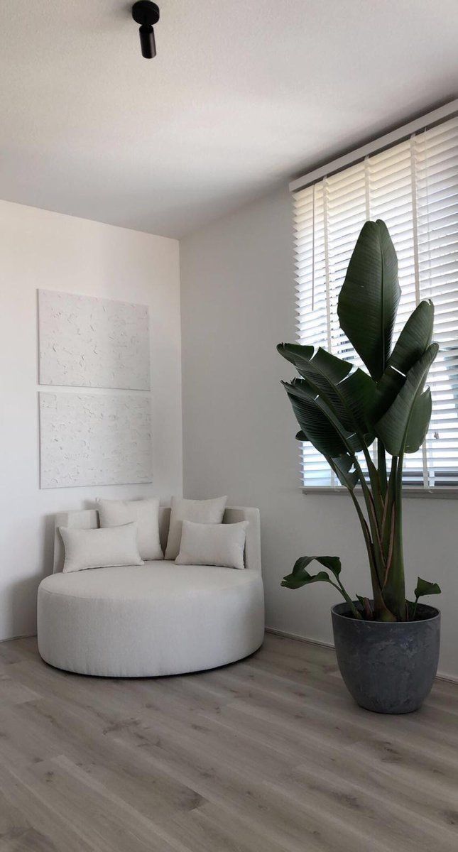 a living room filled with furniture and a potted plant in the middle of the room