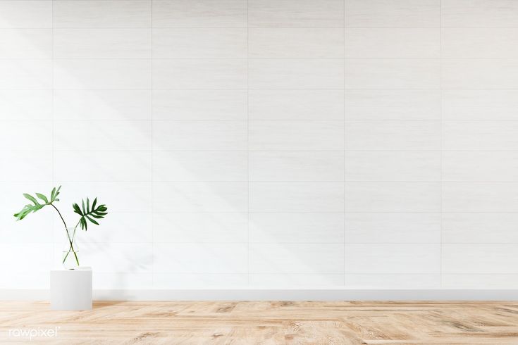 a white vase with a green plant in it on a wooden floor next to a wall