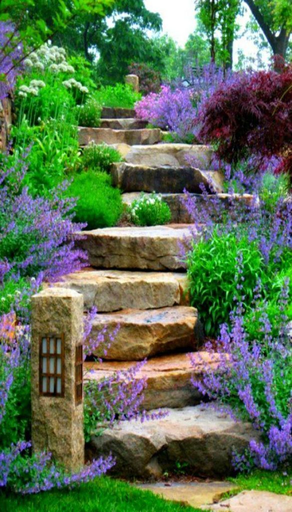 stone steps lead up to a garden with purple flowers