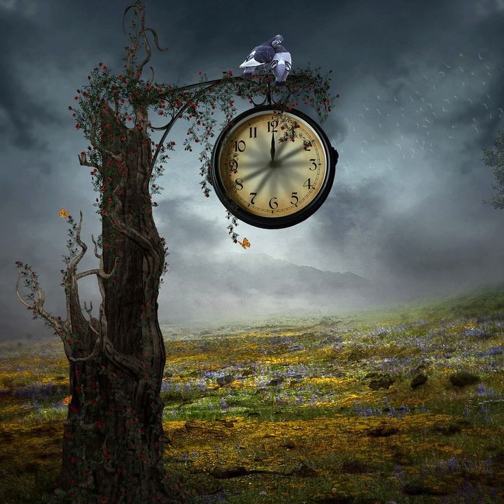 an image of a clock in the middle of a field with birds flying around it