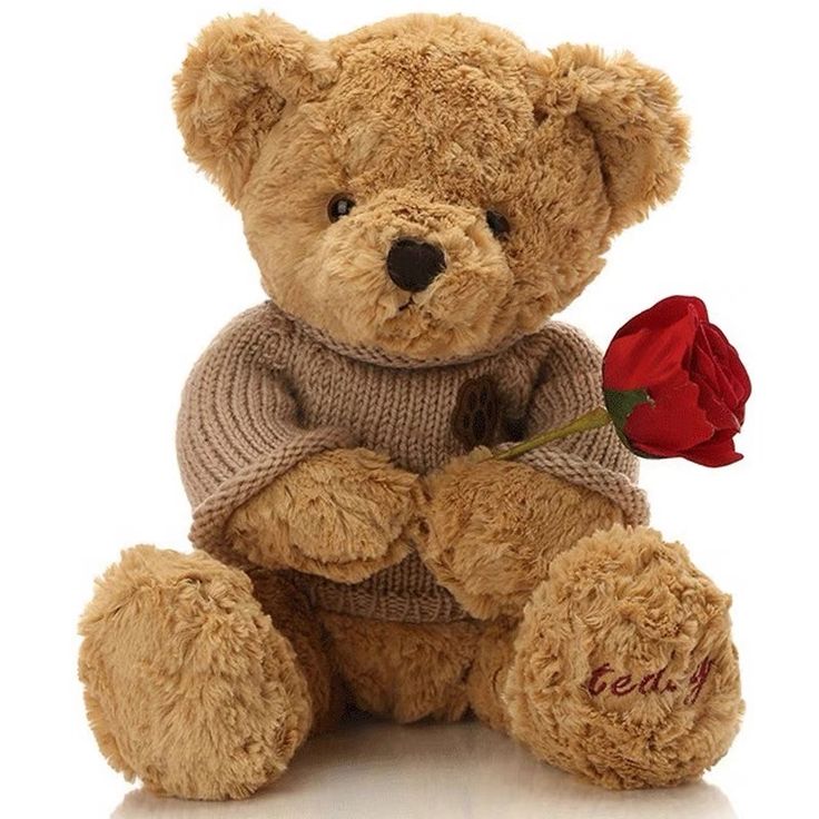 a teddy bear with a sweater and a red rose in its lap sitting on a white surface