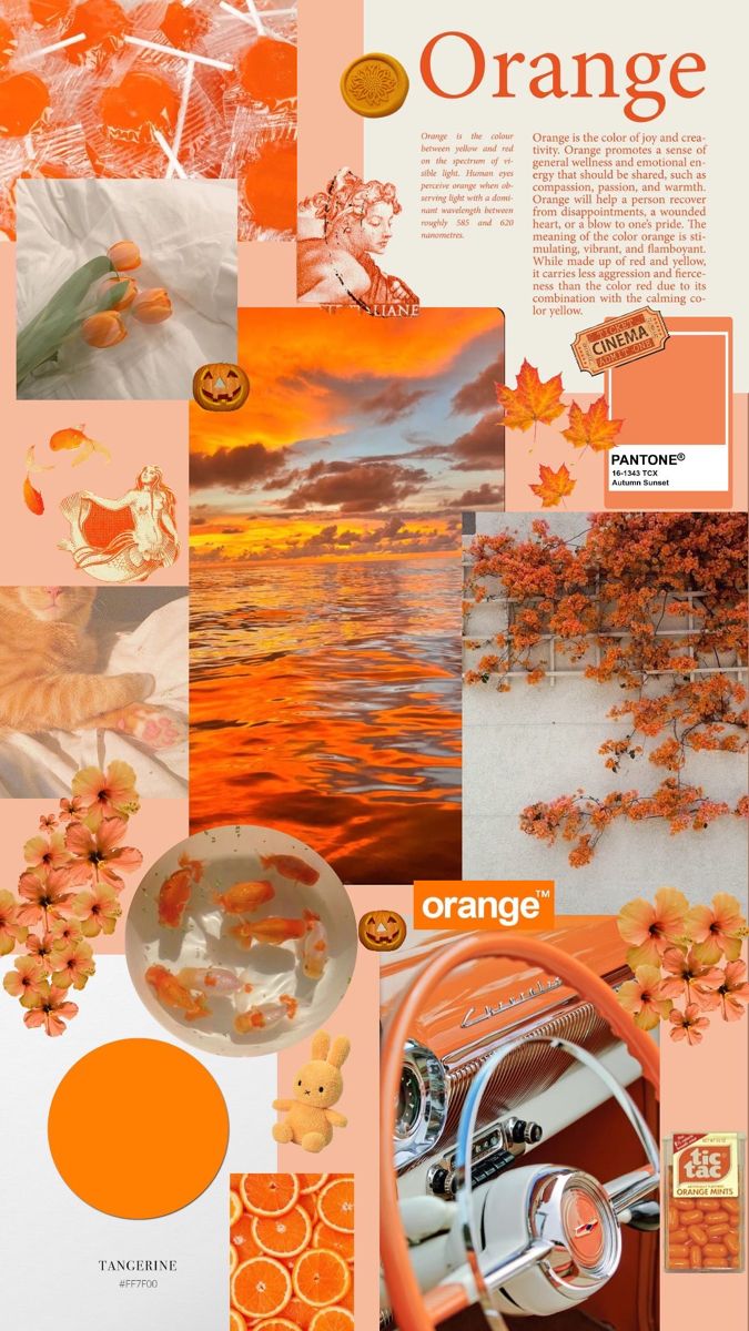 an orange and white collage is featured in this image