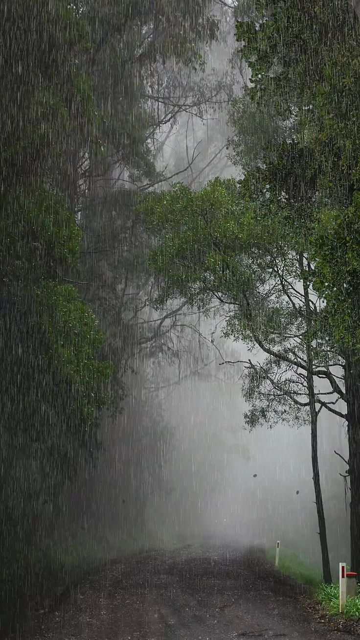 an image of a road that is in the rain