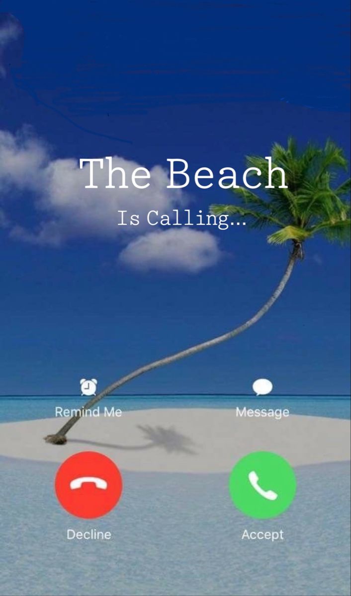 the beach is calling with palm trees on it