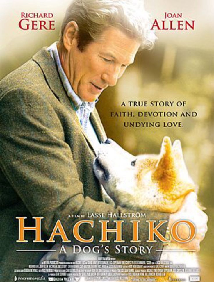 the movie poster for hachiko, a dog's story with john allen