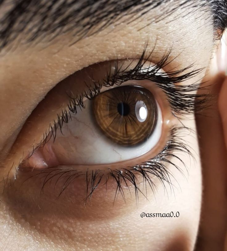 a close up view of an eye with long eyelashes