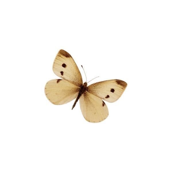 a brown and white butterfly flying through the air