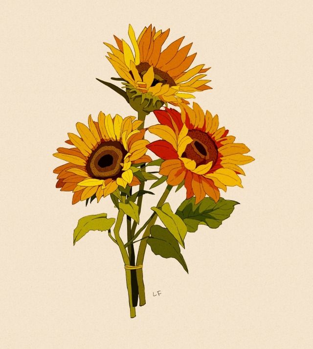 a drawing of sunflowers with leaves and stems