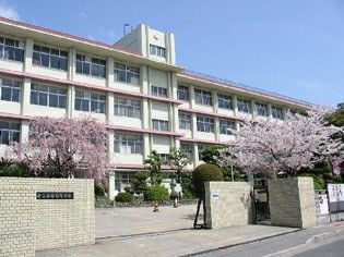 the building is white and has pink flowers on it