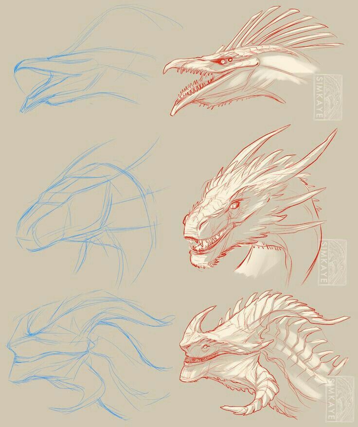 three different types of dragon's head and body in red, white and blue