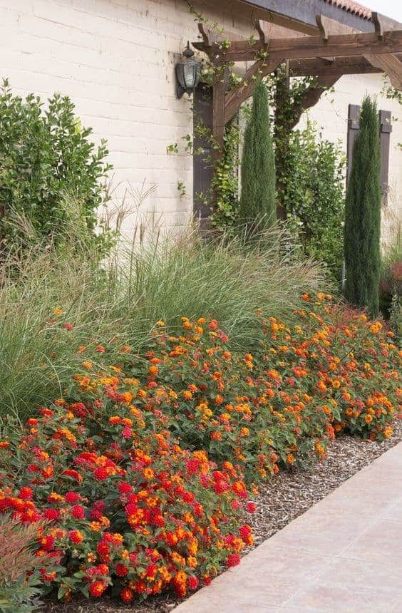 the flowers are blooming along the side of the building