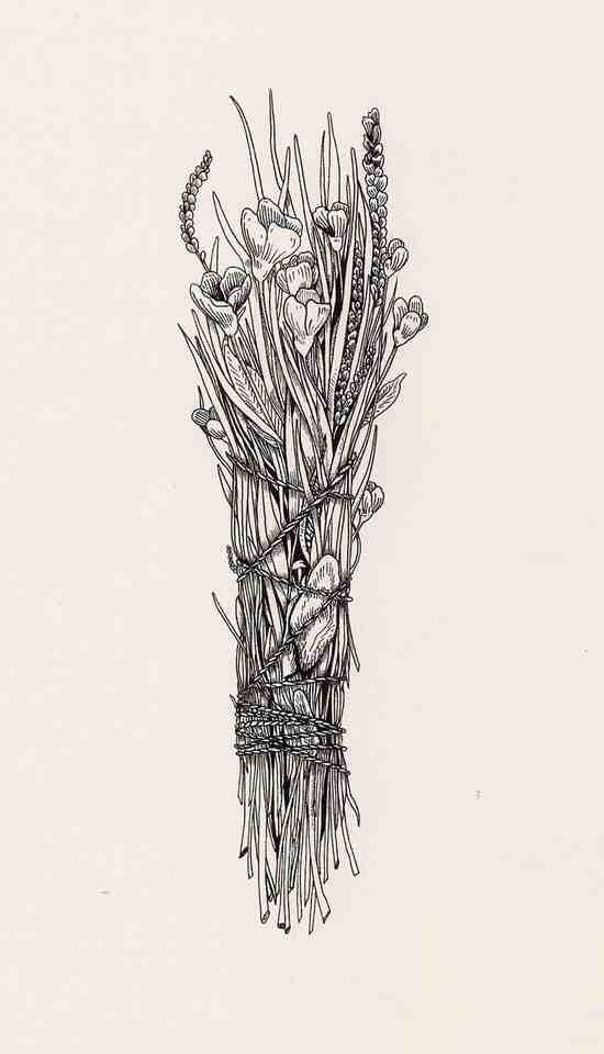 an ink drawing of flowers in a vase