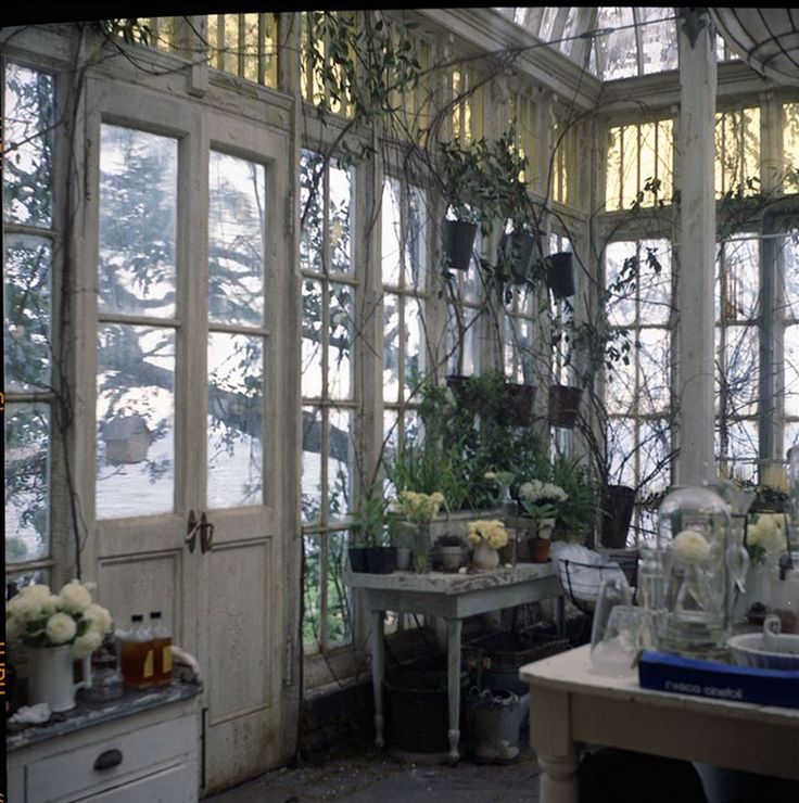 the inside of a greenhouse with lots of plants and flowers in pots on the table