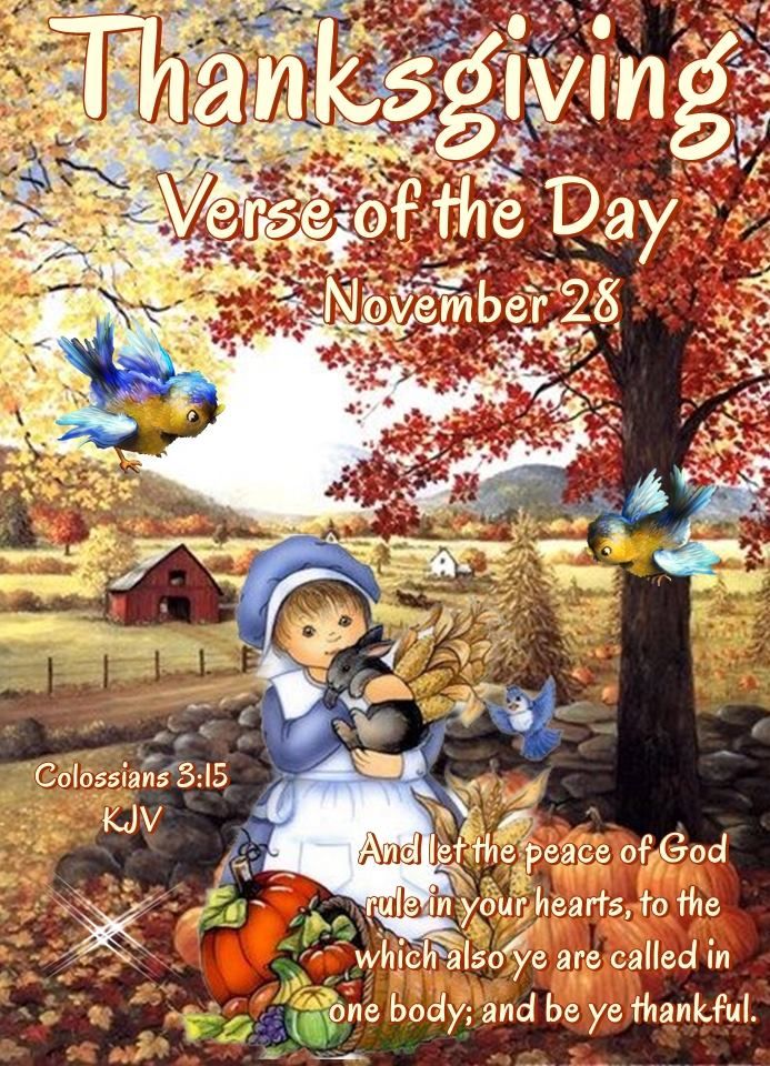 November 28 2019 Thanksgiving Day Colossians 3:15 KJV Verse of the Day November 28 Blessings, Thanksgiving Verses, Words Of Faith, Colossians 3 15, Daily Blessings, Colossians 3, Word Of Faith, Good Morning God Quotes, Peace Of God