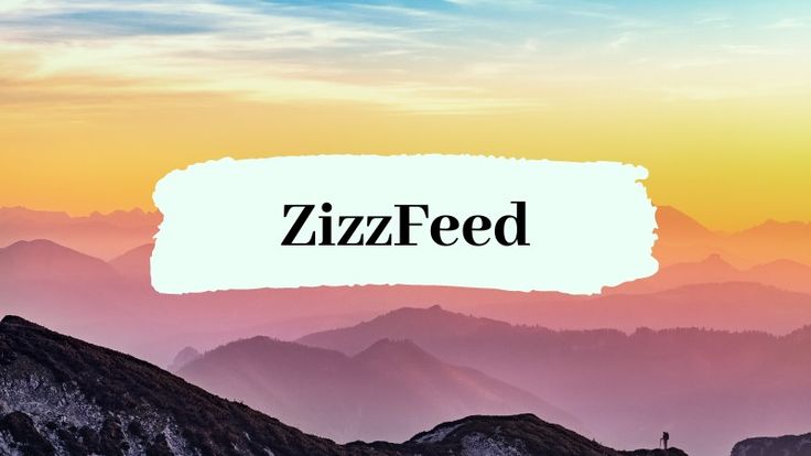 ZizzFeed