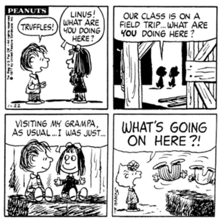 a comic strip with peanuts saying, what's going on here? and an image of