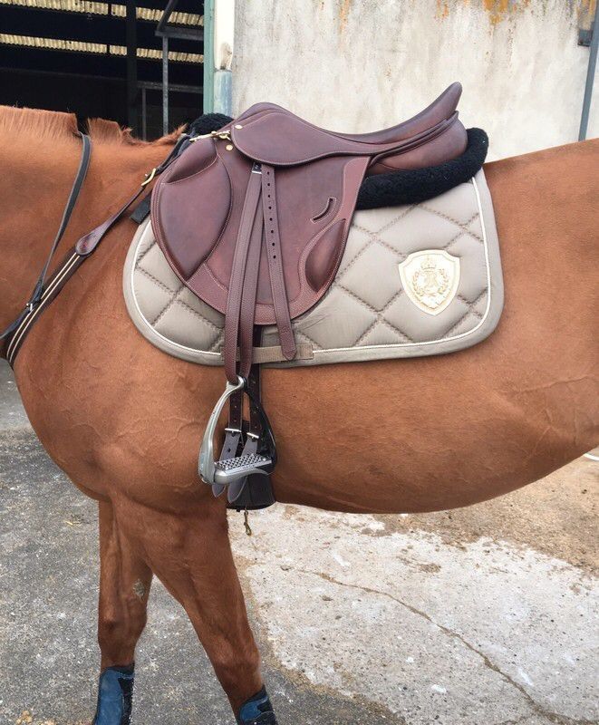 a brown horse standing next to a building with a saddle on it's back