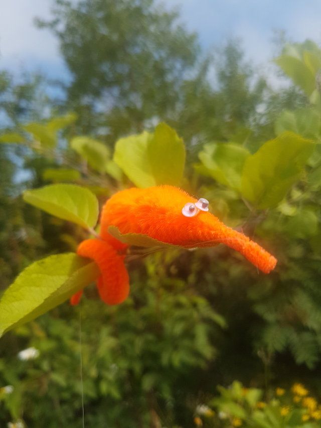 an orange object with eyes on it hanging from a tree branch in front of some trees