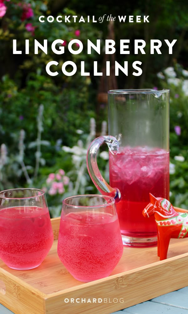 two glasses of pink lemonberry soda on a tray with the title cocktail of the week lingonberry collinss