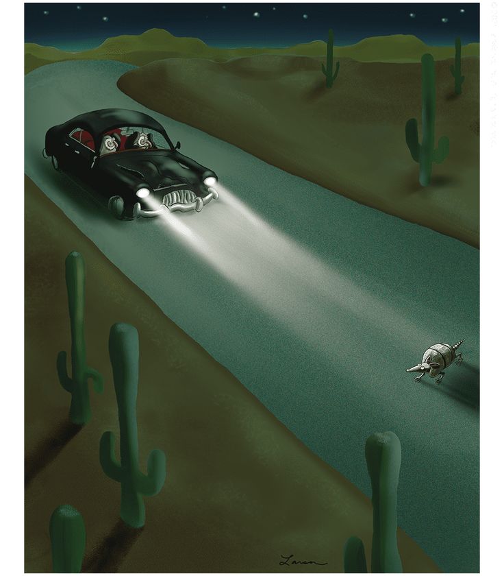 a car driving down a desert road at night