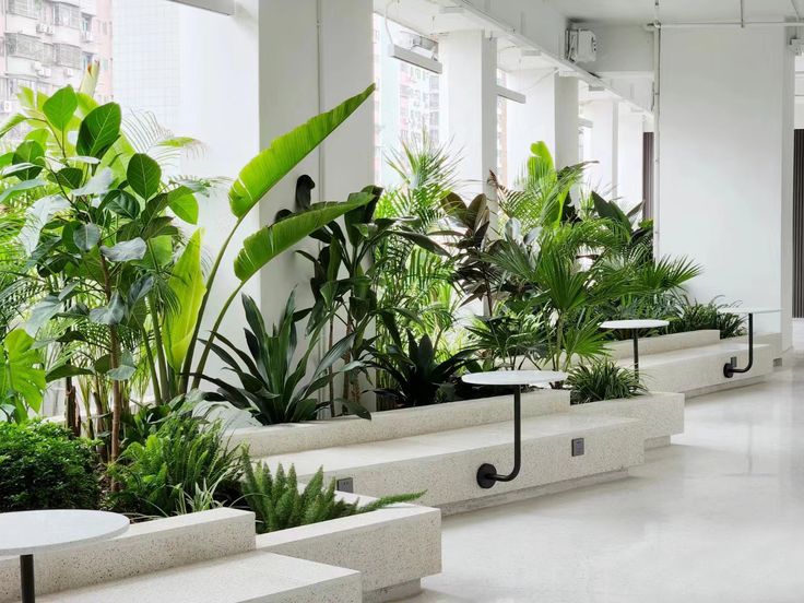 an office building with plants and tables in the middle of the room, all lined up against the wall