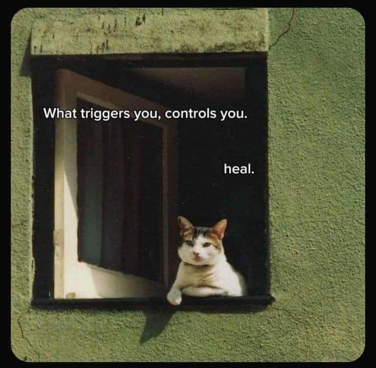 a cat sitting in a window with the caption what triggerers you controls you heal