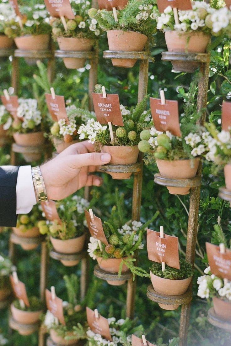 a man is placing small plants in pots on the wall with name tags attached to them