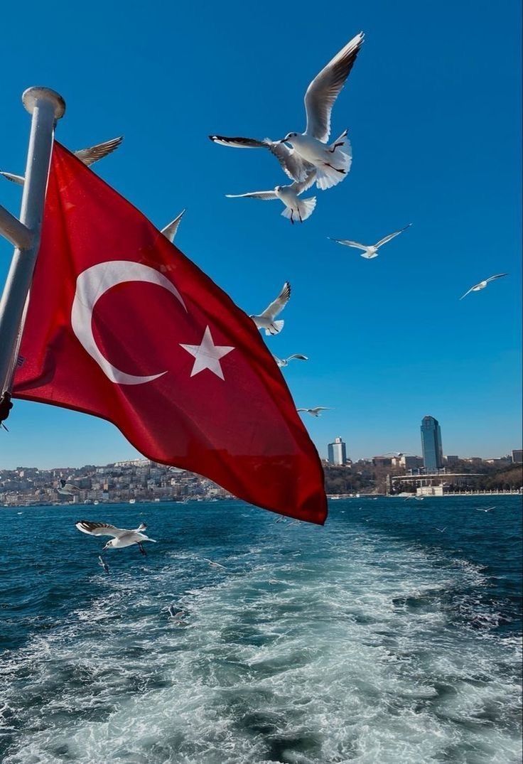 there is a flag on the back of a boat with seagulls flying around