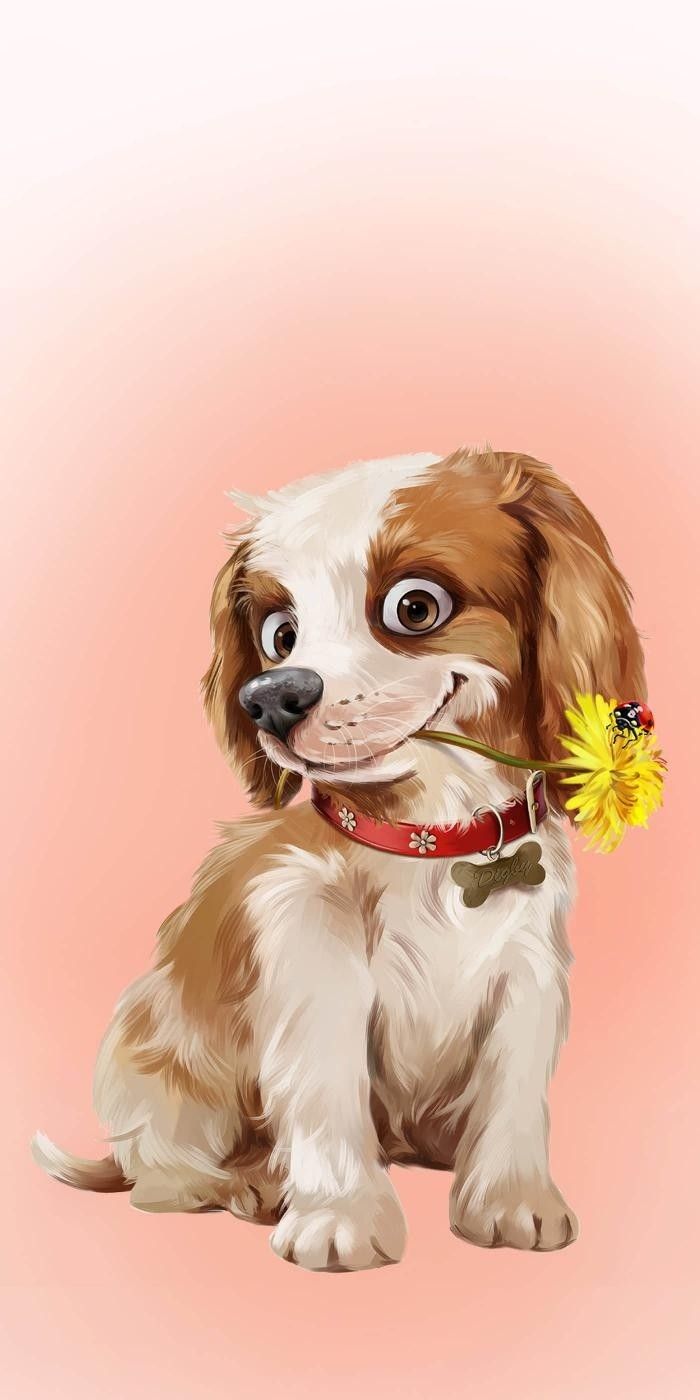 a dog with a flower in its mouth sitting on a pink background and looking at the camera