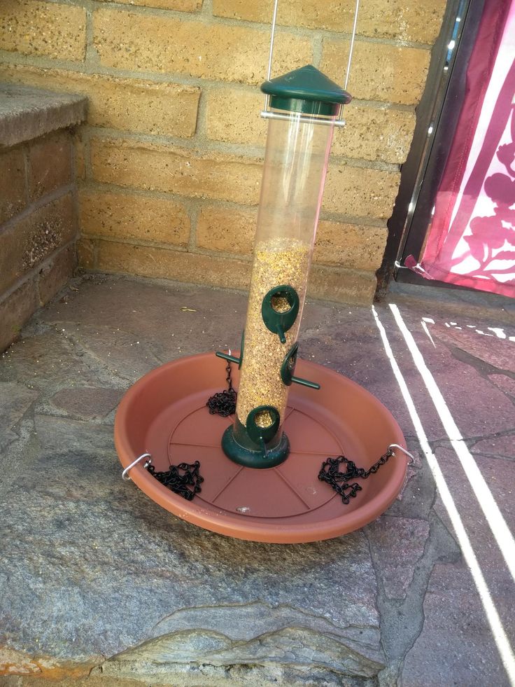 a bird feeder sitting on top of a stone floor next to a brick wall and window