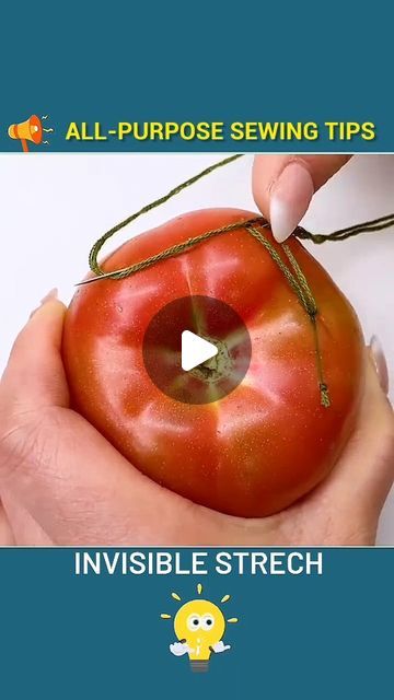 a person holding a tomato in their hand with the caption invisible stretch on it