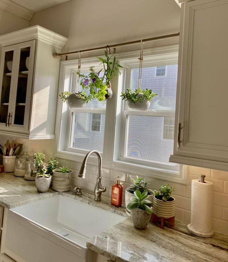 a kitchen filled with lots of white cabinets and counter top covered in potted plants