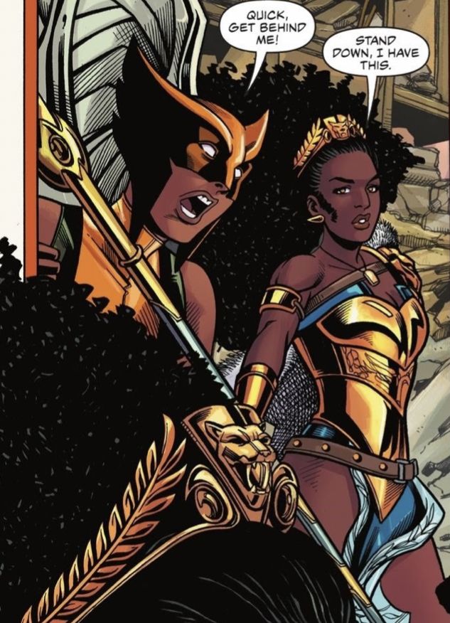 Queen Nubia, The Amazons, Wonder Woman Art, Film Icon, Dc Comics Characters, Black Canary, Bronze Age, Dc Comics Art, Comic Book Characters